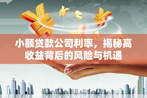 义马小额贷款公司利率，揭秘高收益背后的风险与机遇