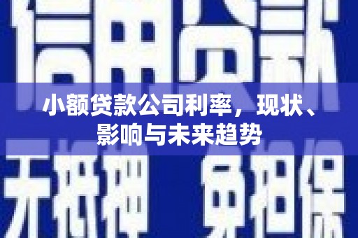 义马小额贷款公司利率，现状、影响与未来趋势