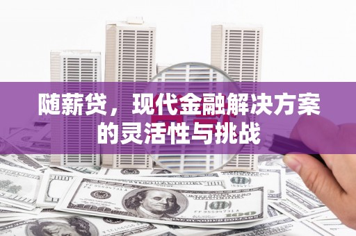 义马随薪贷，现代金融解决方案的灵活性与挑战