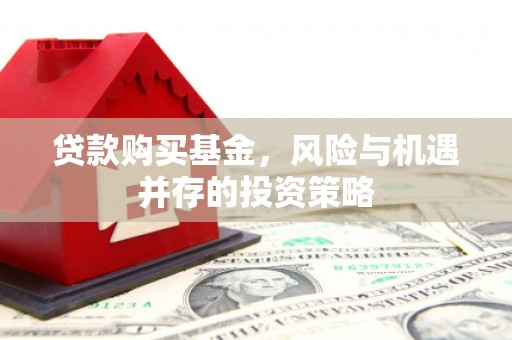 义马贷款购买基金，风险与机遇并存的投资策略