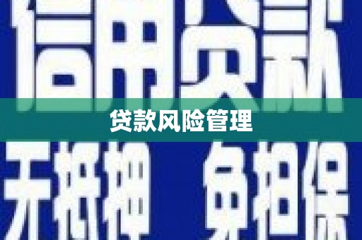 义马贷款风险管理