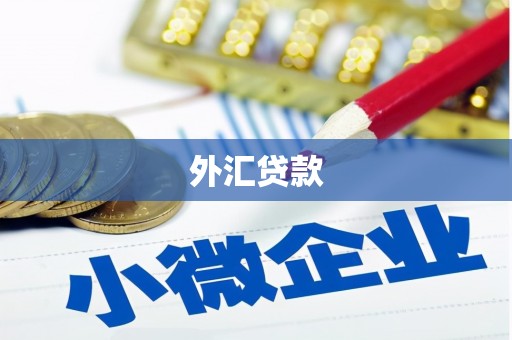 义马外汇贷款