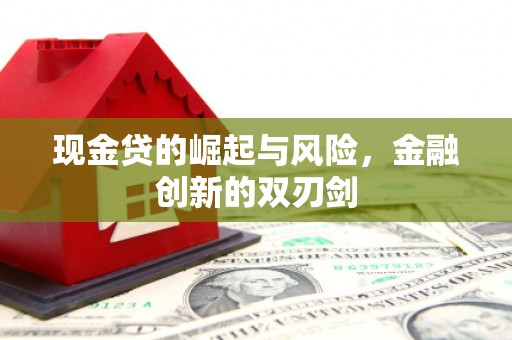 义马现金贷的崛起与风险，金融创新的双刃剑
