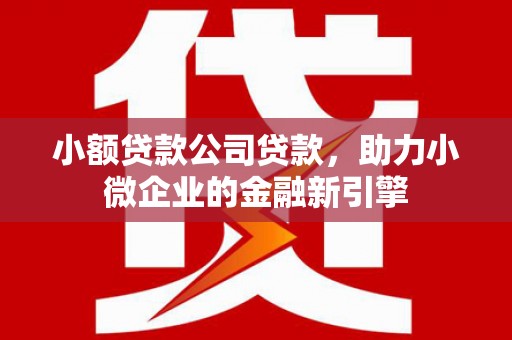 义马小额贷款公司贷款，助力小微企业的金融新引擎
