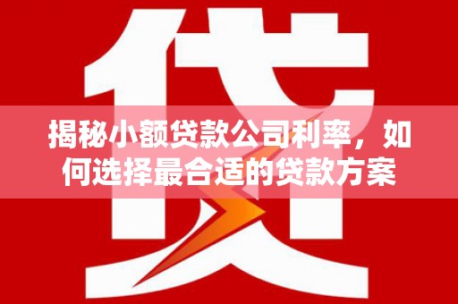 义马揭秘小额贷款公司利率，如何选择最合适的贷款方案