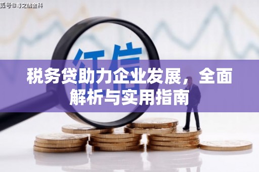 义马税务贷助力企业发展，全面解析与实用指南