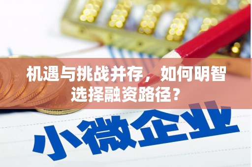 义马机遇与挑战并存，如何明智选择融资路径？
