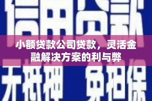 义马小额贷款公司贷款，灵活金融解决方案的利与弊